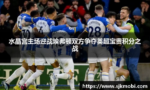 水晶宫主场迎战埃弗顿双方争夺英超宝贵积分之战
